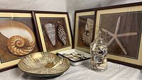 Overview showing four framed shell and starfish artworks, large nautilus-shaped dish, rectangular shell trinket dish, and glass jar of shells arranged on a white surface.