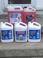Photo showing five jugs of antifreeze with visible labels including Winter Proof, Polar, and Plumbing Antifreeze with volume and warning info.