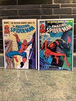 Two comic books side by side in protective sleeves featuring Spider-Man on the covers.