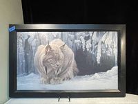Framed print showing a lynx in a snowy scene with icicles in the background, signed by Robert Bateman.