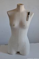 Front view of a female torso dress form mannequin with a black pen pinned to shoulder and stains on fabric surface.