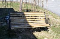 Full view of the bench showing wooden slats and cast iron armrests and legs on a grassy patch with partial shadow.