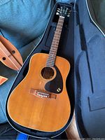 Full body front view of Ariana acoustic guitar in hard case showing wooden top, black pickguard, and bridge
