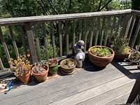 Wide view of six plant pots and wooden sculpture on wooden deck railing with forest view in background