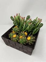Woven basket with fifteen succulent picks showing two main types of artificial succulents, tall green cactus forms with red buds and round cactus forms with yellow flowers.