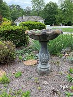 Full view of the cement bird bath in an outdoor garden setting, showing the scalloped basin and pedestal.