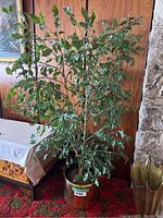 Full view of large artificial ficus plant in brass pot on red carpet with wood-paneled wall behind.