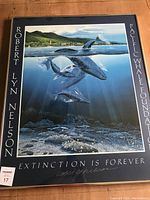 Full view of the framed signed print titled 'Extinction Is Forever' showing the whales and shoreline artwork, artist name, and foundation name.
