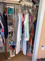 View of closet section with assorted hanging clothing items and a hanging fabric organizer holding purses and accessories.
