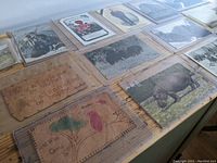 Multiple antique postcards laid out flat on table, showing leather postcards in foreground with hand-drawn and embossed designs and other standard postcards in protective sleeves.