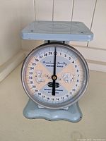 Photo of vintage American Family Nurse baby scale base, pale blue with animal illustrations and dial markings showing weight in pounds and ounces.