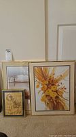 Shows all three framed art pieces grouped on the floor, including two large floral prints and one smaller botanical print.