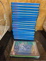 Stack of 20 Bob Ross Joy of Painting TV Series DVDs with blue cases and one Rose Arbor DVD in green case.