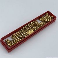 Chain nestled in red jewelry box showing packaging and overall presentation