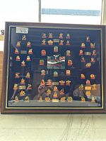 Framed display with all pins visible on dark blue backing