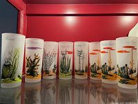 Front view of full set showing all 8 tall frosted glasses with cactus names and illustrations: Barrel, Cholla, Ocotillo, Organ Pipe, Century Plant, and three Prickly Pear cacti.