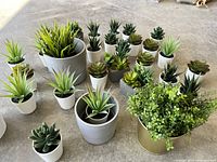 Overall arrangement view of faux succulent plants and pots on floor showing size variety and pot details.