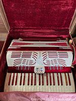 Front view of accordion seated in its original hard case