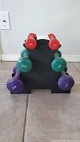 Front view showing all dumbbells on the stand in three tiers with labeled weights in red, green, and purple colors.