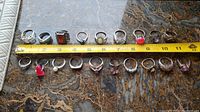 All 19 rings arranged in two rows beside measuring tape
