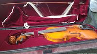 Violin inside burgundy velvet-lined case with bow and loose horsehair shown