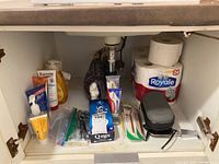 Photo showing Royale toilet paper, electric razor, various personal care tubes and bottles, cotton balls, Q-tips, toothbrush, and shaving cream.
