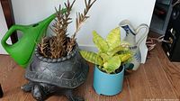 Photo showing ceramic turtle plant pot with dried plants, blue metal plant pot with green leafy plant, green plastic watering can, and ceramic blue and white decorative pitcher on wooden floor.