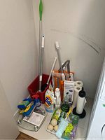 Overview photo showing mop bucket, mop, various cleaning brushes, paper towels, detergents, and cleaning sponges.