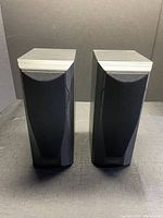 Front view of both speakers with grilles attached