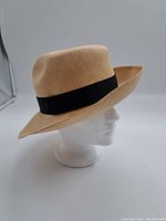 Side angle showing the fedora shape, woven texture, and black ribbon band