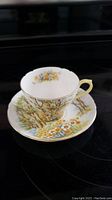 Tea cup and saucer set with detailed floral and tree branch pattern on white china with gold rim and yellow gilded handle, shown on black reflective surface.
