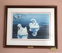 Full view of the framed print showing two swans on water, with a dark wooden frame and white matting under glass.