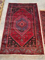 Full view of Persian area rug showing central medallion and border