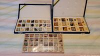 Photo showing three cases of labeled collector's rocks and minerals arranged horizontally.