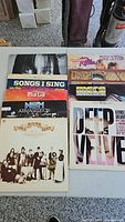 Top-down photo of multiple vinyl record covers arranged in two rows, showing artists including Deep Velvet, Meco, Styx, and Little River Band.