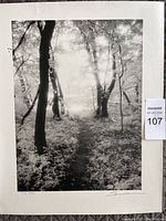 Full view of the black and white photograph showing a wooded path with sunlight filtering through the trees. The photo emphasizes light and shadow and natural scenery.