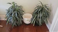 Two full artificial plants with variegated green and white leaves and a large white ceramic planter pot with floral pattern on rolling wheel holder.