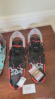 Overhead view of both snowshoes showing decking and bindings