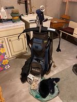 Full view of Top Flite golf bag with four Palmer Axiom clubs inside, club covers on some clubs, golf ball fetcher attached to bag, and black club socks on the floor. Bag has multiple compartments and pockets.