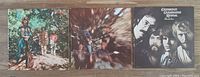 Three vinyl record albums by Credence Clearwater Revival shown together, album covers visible with classic band images