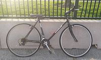 Side view of the Wheeler bicycle showing black frame, silver crank, and flat tires.