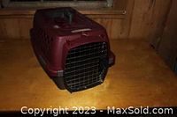 Full view of maroon plastic cat carrier showing front wire mesh door and ventilation holes on top and sides.