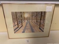 Framed original watercolour painting measuring 20 x 16 inches, showing winter forest with shadows and trees, signed Janis.