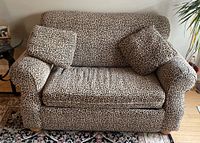 Front view of a leopard print sofa bed with two cushions on a decorative rug.