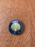 Photo of the reverse side of the 2022 black Toonie Canada coin showing a polar bear on an ice floe with black outer ring and gold-colored center