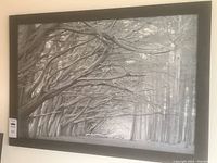 Full view of framed black and white tree print capturing the forest scene with intricate branches and trunks.