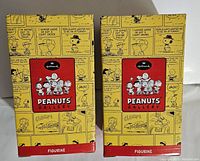 Box packaging showing Peanuts Gallery branding and comic strip background design