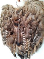 Close-up of wild turkey feather angel wings showing feather texture, layering, and natural brown tones with striped feather tips.