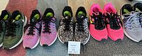 Five pairs of women's Nike Air Pegasus shoes laid out on a carpet, showing a variety of colors.
