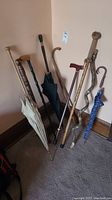 Lot of vintage walking sticks and umbrellas grouped together showing variety and condition.